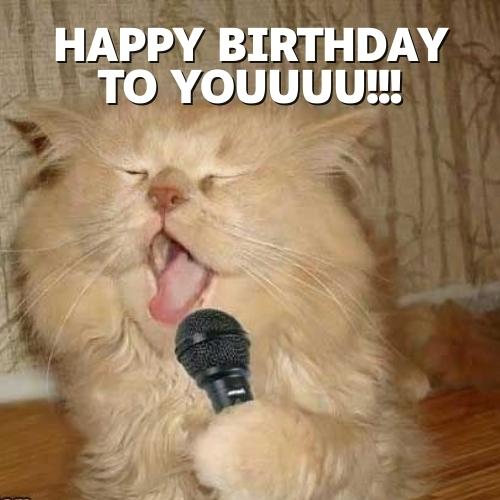 Singing Happy Birthday Memes Images