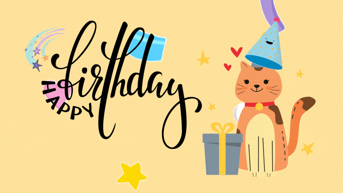 Happy Birthday Cat GIFs Download - Cute & Funny