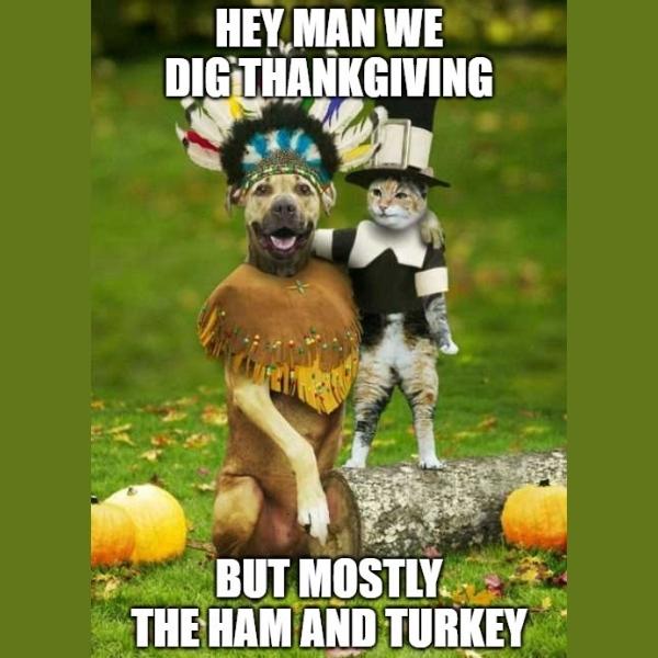 Nice happy Thanksgiving Memes