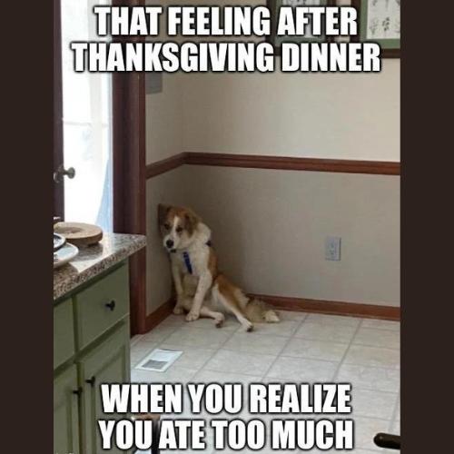 thanksgiving blues - after memes