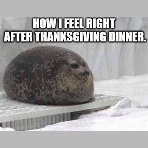After Thanksgiving dinner Memes