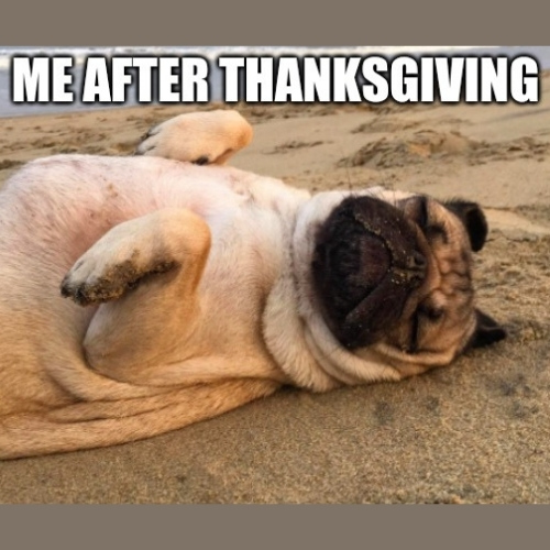 me After Thanksgiving Memes