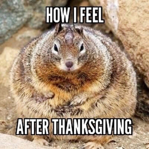 After Thanksgiving Memes