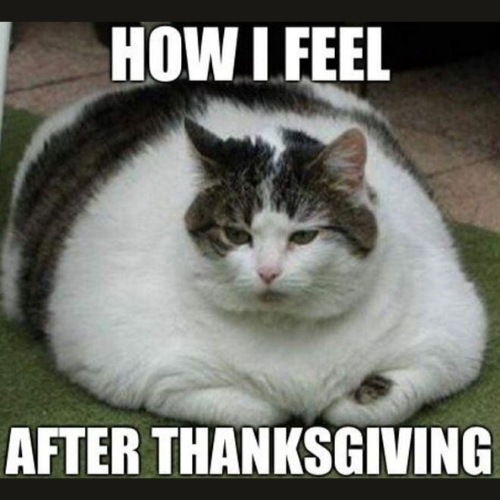 how i feel After Thanksgiving Memes