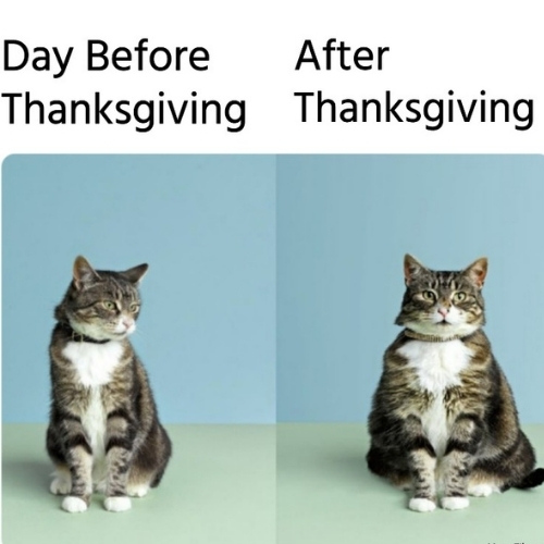 day before and After Thanksgiving Memes