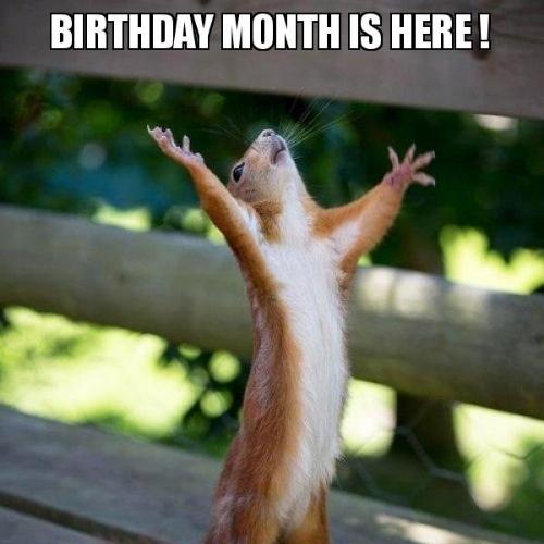 Birthday Month Memes