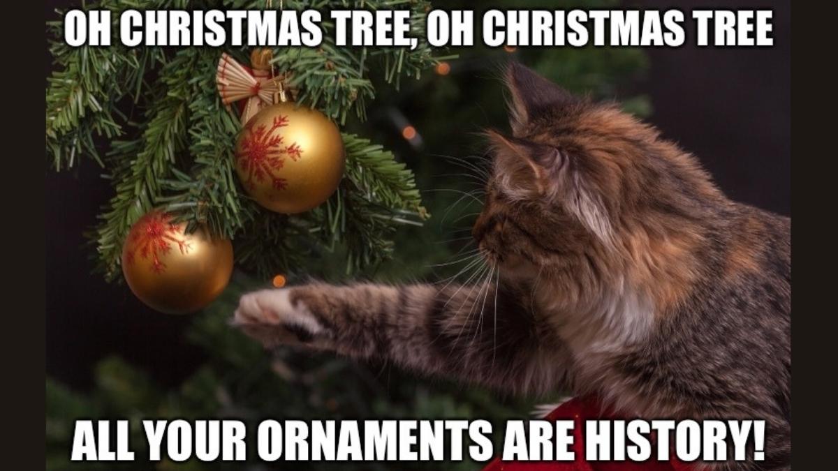 20+ Most Hilarious Cat Christmas Tree Memes of All Time