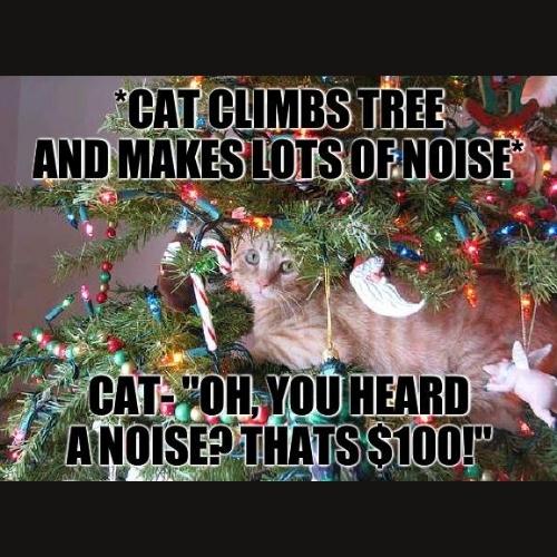 Cat Christmas Tree Memes