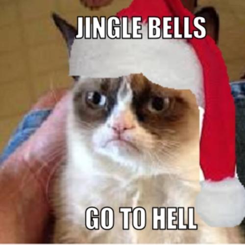Jingle bells Christmas Cat Memes