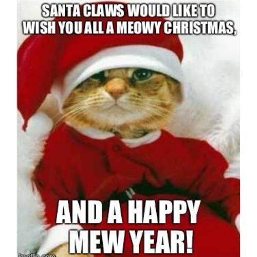Meowy christmas and happy mew year