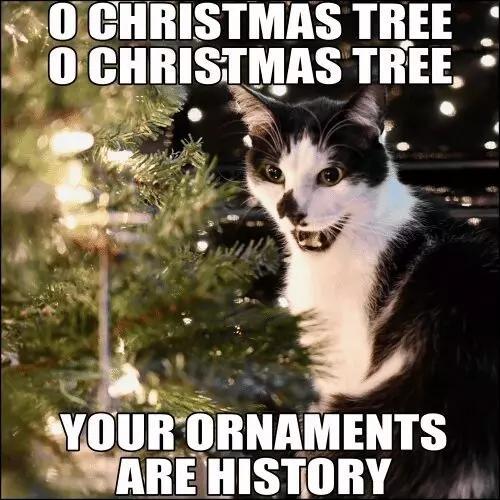 Merry Christmas Cat Tree Memes