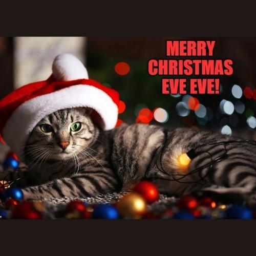 Merry Christmas Eve Eve Memes