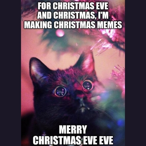 Merry Christmas Eve Eve cat Memes