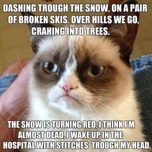 Cat Christmas Song Memes