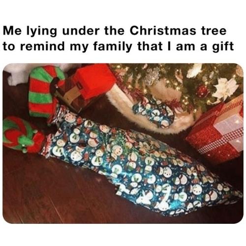 Christmas Tree Memes for facebook