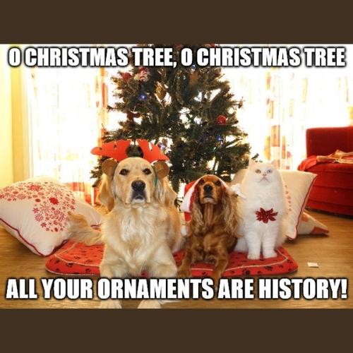 Christmas Tree Dog Memes