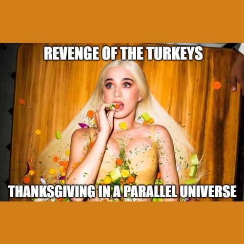 katty pary Dank Thanksgiving Memes
