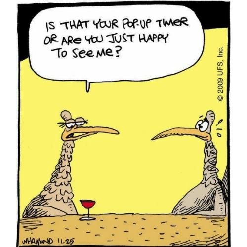 funny Dirty turkey memes