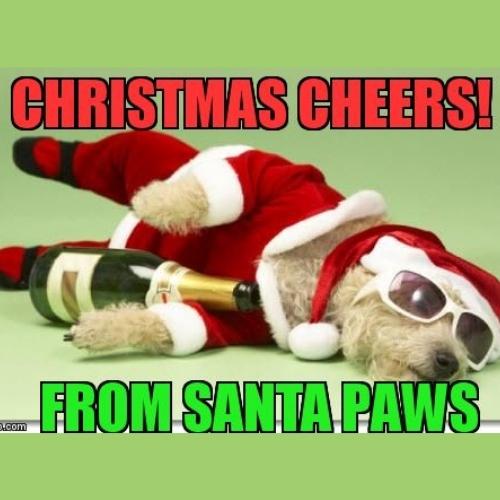 Drunk Santa dog Memes