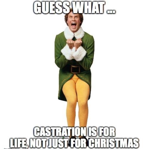 Elf Christmas Memes