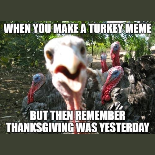 Turkey Memes reddit