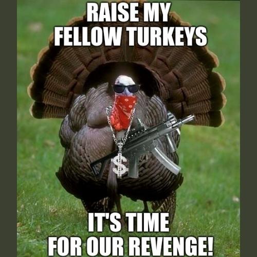 Thanksgiving Turkey Memes