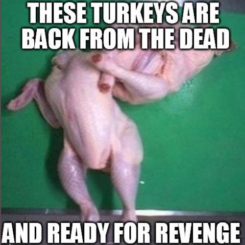 Funny Turkey Memes