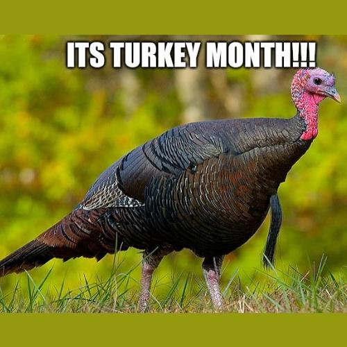 It's Turkey Month Memes