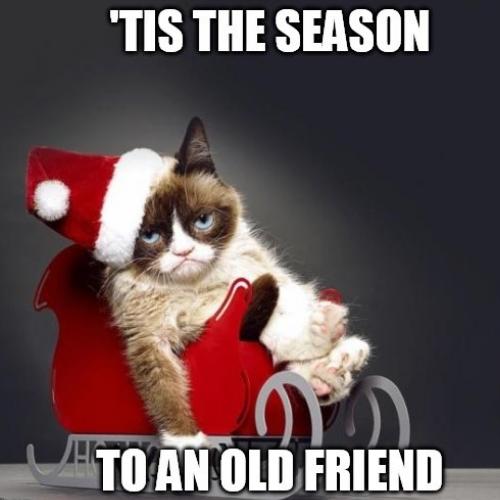 Grumpy Cat Christmas Memes for friend