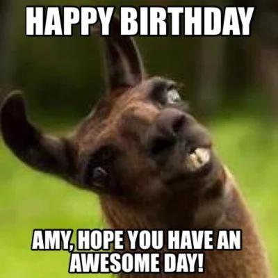 Happy Birthday Amy Memes