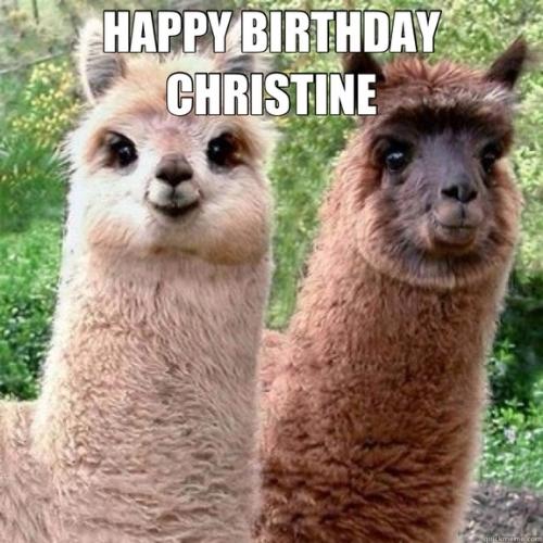 Happy Birthday Christine Memes