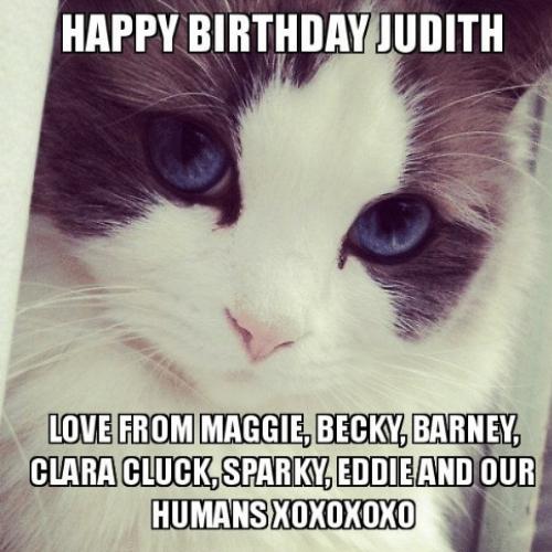 Happy Birthday Judith Memes