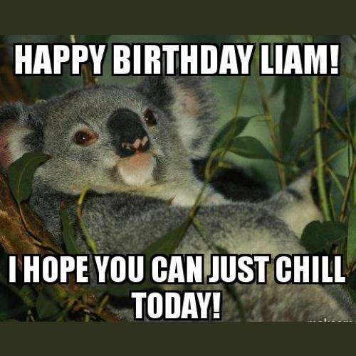 Happy Birthday Liam Memes