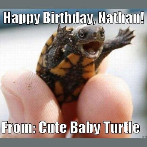 Happy Birthday Nathan Memes