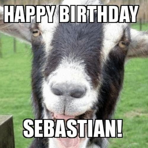 Happy Birthday Sebastian Memes