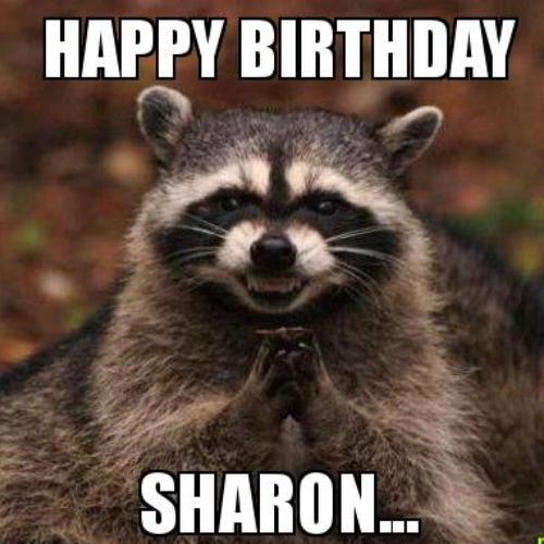 Happy Birthday Sharon Memes
