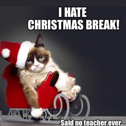 I Hate Christmas Memes
