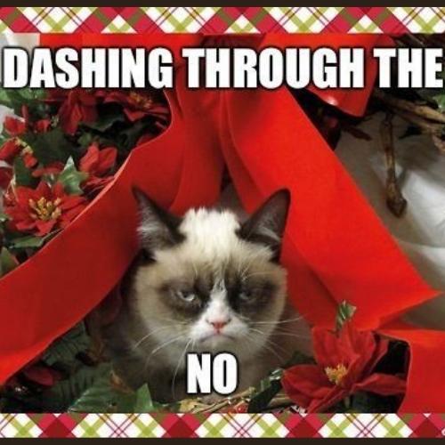 30+ I Hate Christmas Memes & Quotes 2023 for Non Christmas Lovers