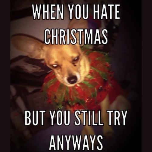 I Hate Christmas Memes