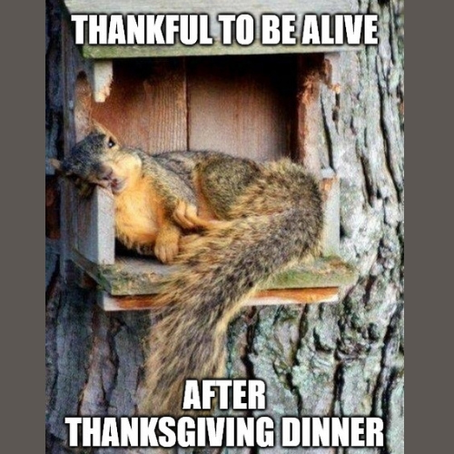After Thanksgiving Dinner Memes