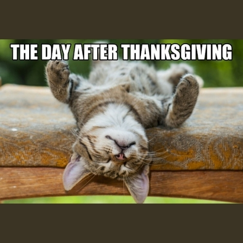The After Thanksgiving Memes