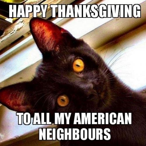Hilarious Cat Thanksgiving Memes