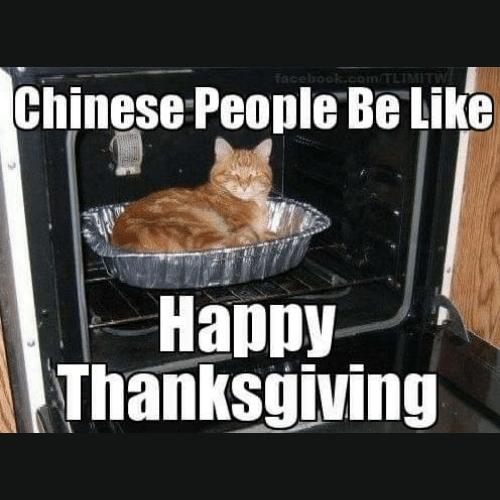 Cat Thanksgiving Memes