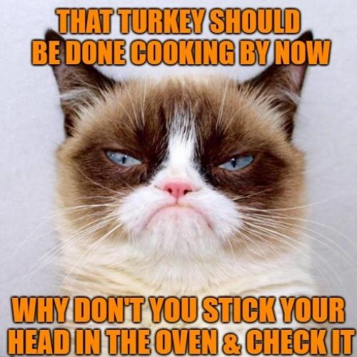 Happy Thanksgiving Cat Memes