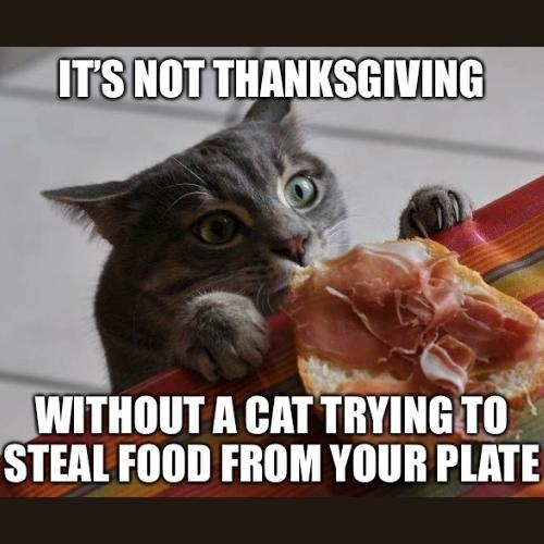it's not thanksgiving