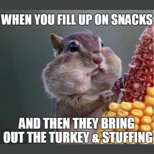 Thanksgiving Dinner Memes
