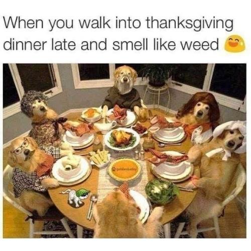 happy Thanksgiving Dinner Memes