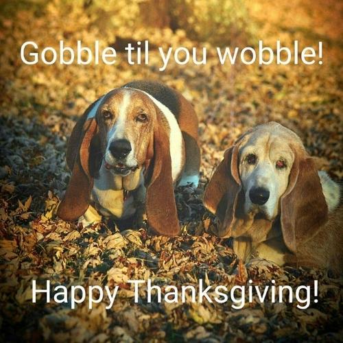 gobble til you wobble! Happy Thanksgiving