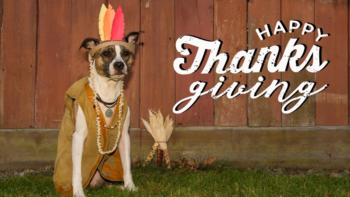 Thanksgiving Dog Memes