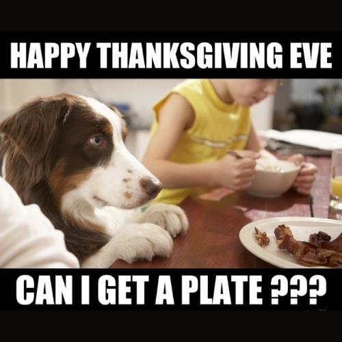 Happy thanksgiving eve....